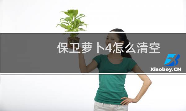 保卫萝卜4怎么清空