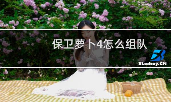 保卫萝卜4怎么组队