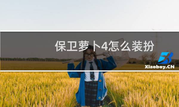 保卫萝卜4怎么装扮