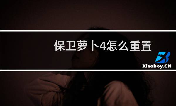 保卫萝卜4怎么重置