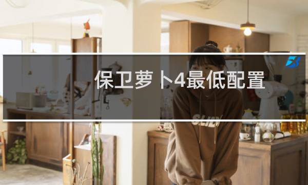 保卫萝卜4最低配置