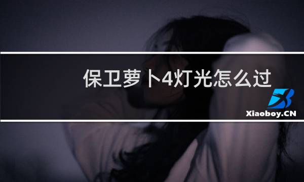 保卫萝卜4灯光怎么过