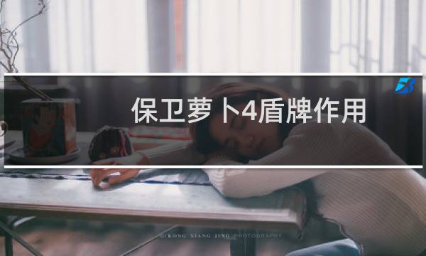 保卫萝卜4盾牌作用