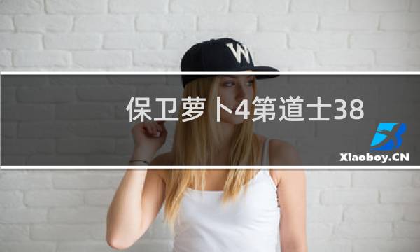 保卫萝卜4第道士38