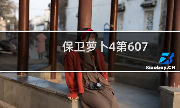 保卫萝卜4第607
