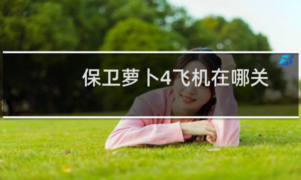 保卫萝卜4飞机在哪关