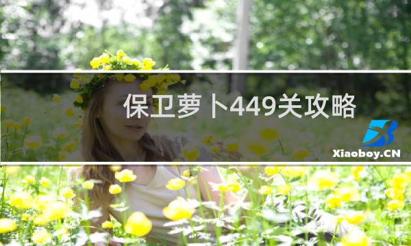 保卫萝卜449关攻略