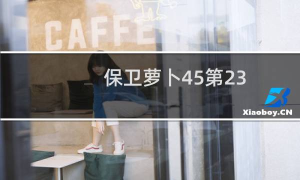 保卫萝卜45第23