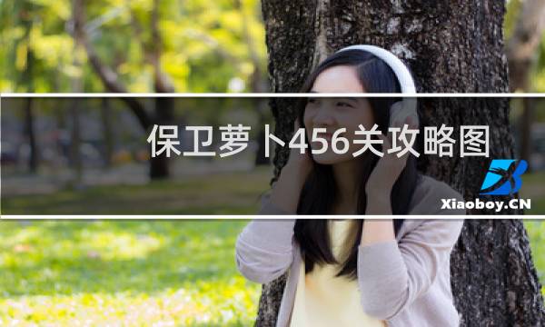 保卫萝卜456关攻略图