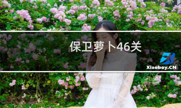 保卫萝卜46关 经验