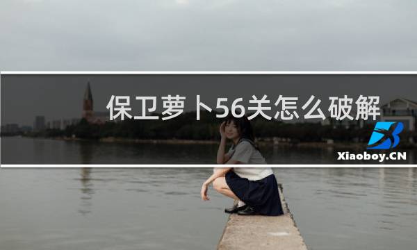 保卫萝卜56关怎么破解