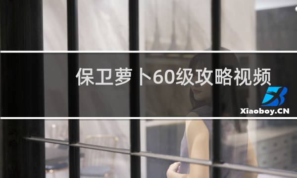 保卫萝卜60级攻略视频