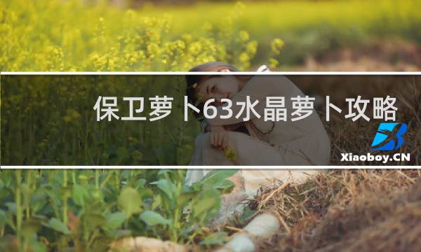 保卫萝卜63水晶萝卜攻略