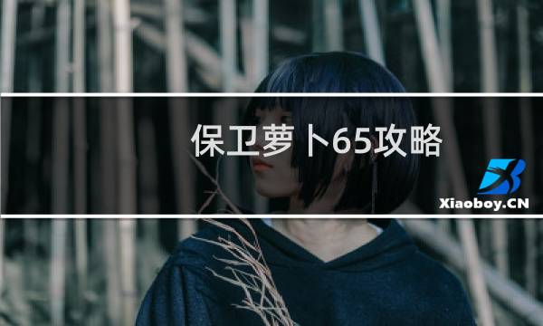 保卫萝卜65攻略