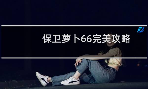 保卫萝卜66完美攻略