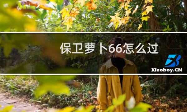 保卫萝卜66怎么过