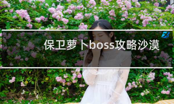 保卫萝卜boss攻略沙漠