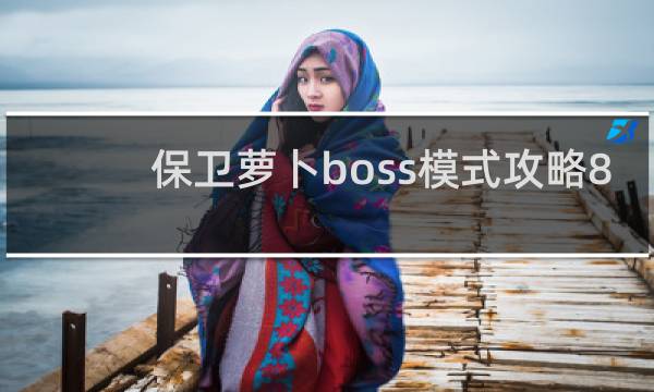 保卫萝卜boss模式攻略8