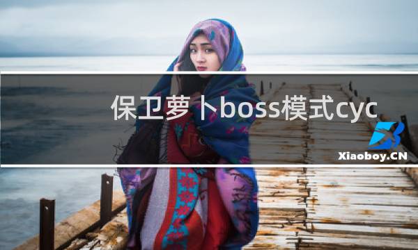 保卫萝卜boss模式cyc