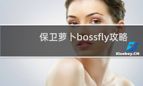 保卫萝卜bossfly攻略