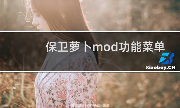 保卫萝卜mod功能菜单