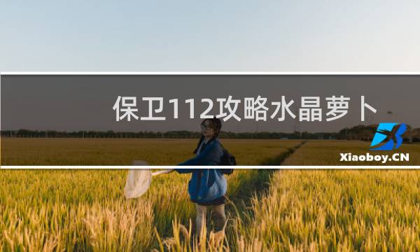 保卫112攻略水晶萝卜