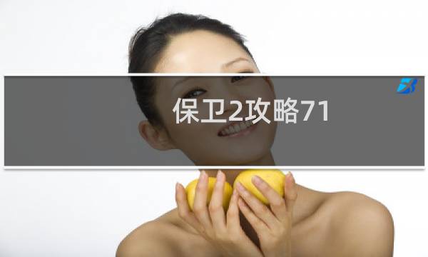 保卫2攻略71