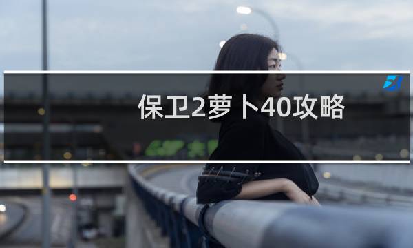 保卫2萝卜40攻略