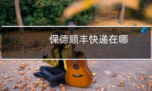 保德顺丰快递在哪