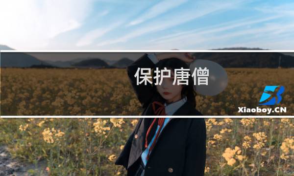 保护唐僧 攻略