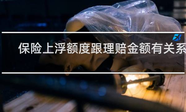 保险上浮额度跟理赔金额有关系吗