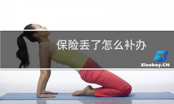 保险丢了怎么补办