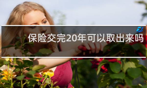 保险交完20年可以取出来吗