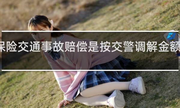 保险交通事故赔偿是按交警调解金额赔偿吗