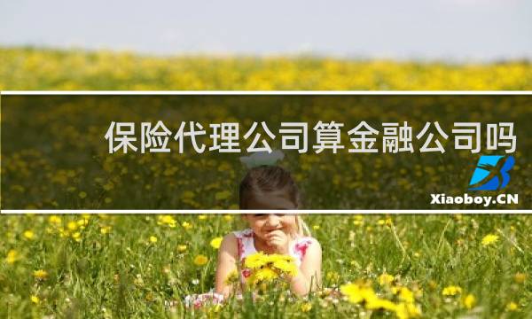 保险代理公司算金融公司吗