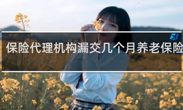 保险代理机构漏交几个月养老保险犯罪