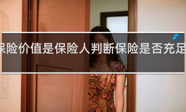 保险价值是保险人判断保险是否充足的依据