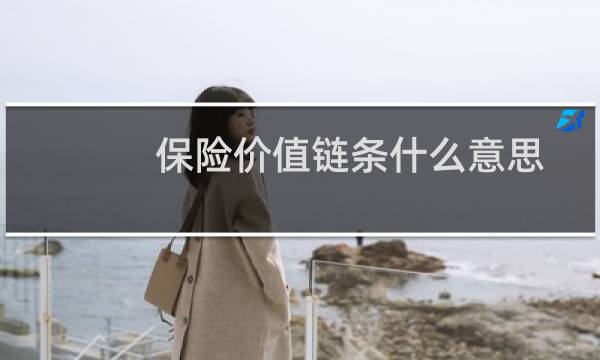 保险价值链条什么意思