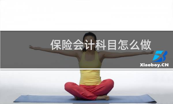 保险会计科目怎么做