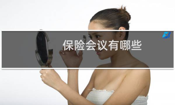 保险会议有哪些