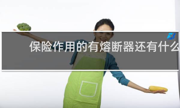 保险作用的有熔断器还有什么