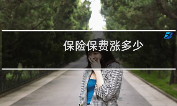保险保费涨多少