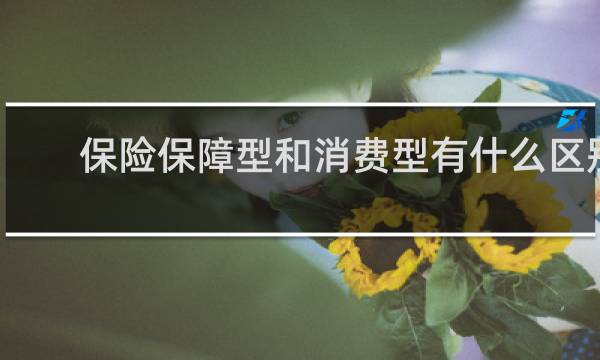 保险保障型和消费型有什么区别