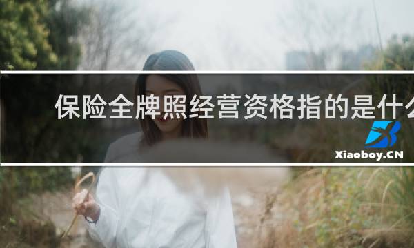 保险全牌照经营资格指的是什么