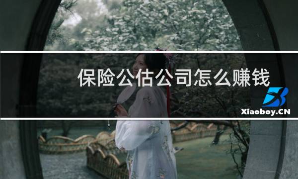 保险公估公司怎么赚钱