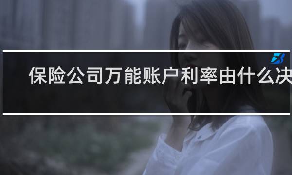 保险公司万能账户利率由什么决定