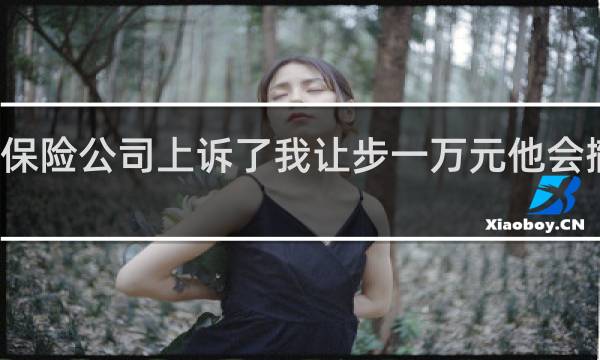 保险公司上诉了我让步一万元他会撤诉吗