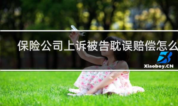 保险公司上诉被告耽误赔偿怎么办