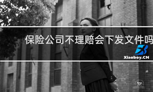 保险公司不理赔会下发文件吗