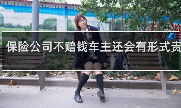 保险公司不赔钱车主还会有形式责任吗